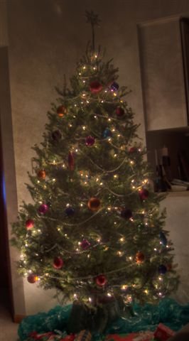 tree hdr